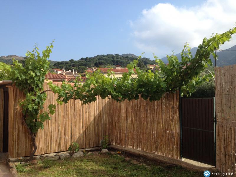 Photo n°10 de :VILLA 4 CHAMBRES TOUT CONFORT A COLLIOURE A 700M DU VILLAGE ET DES PLAGES   (2  8 personnes) GRAND TERRAIN CLOS ET ARBORE