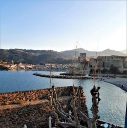 Collioure T2 front de mer vue d